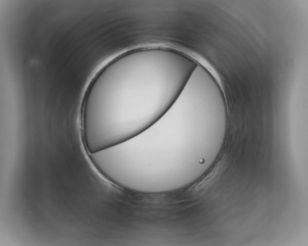 X0000111880951200907231424