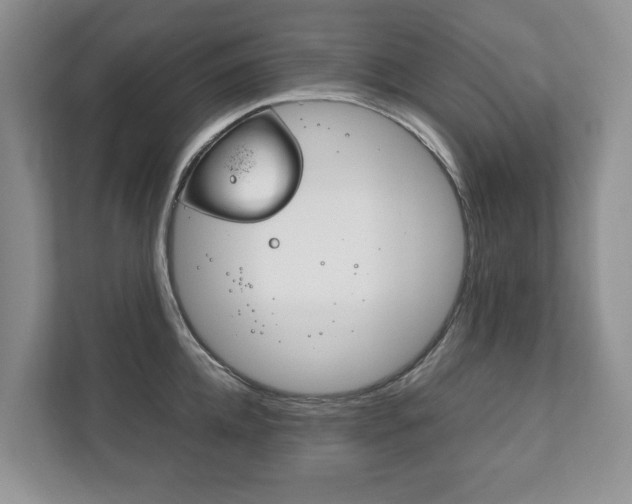 X0000111880952200907231424