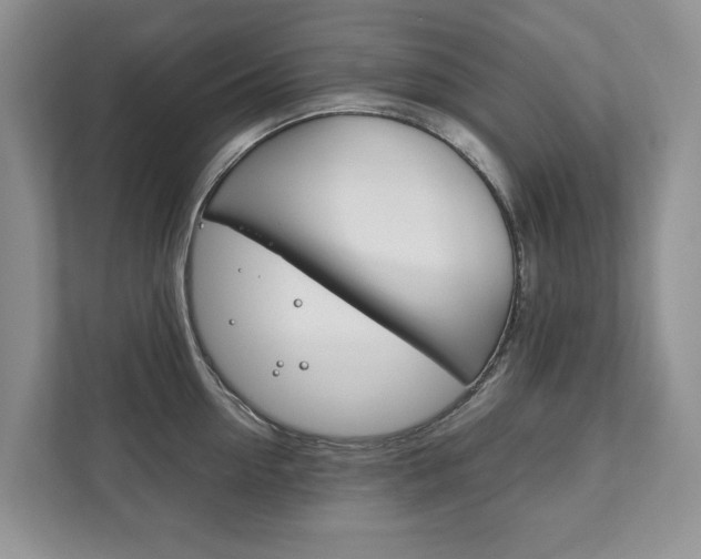 X0000111880954200907231424