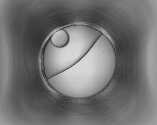 X0000111880955200907231424