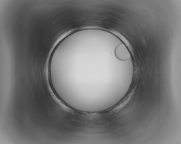 X0000111880957200907231424
