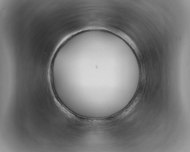 X0000111880958200907231424