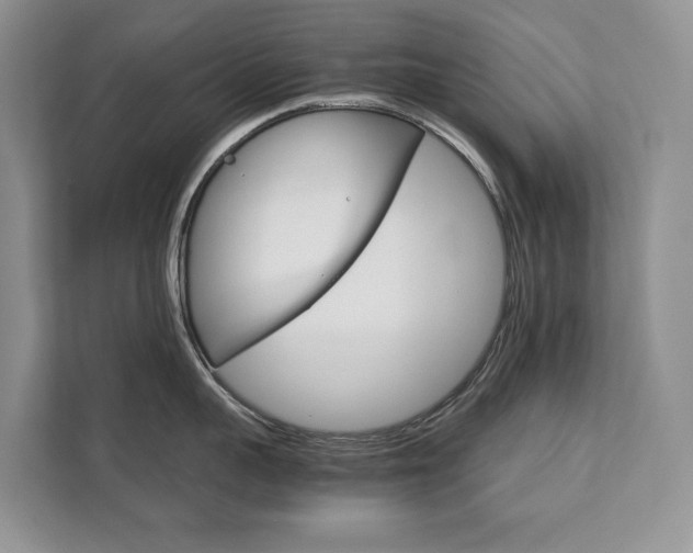 X0000111880959200907231424