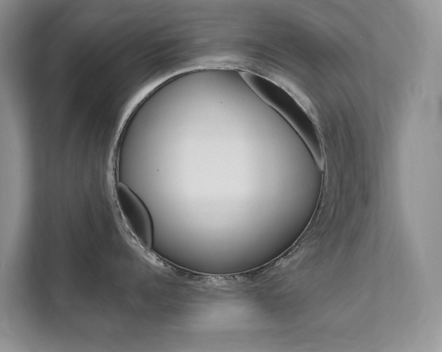 X0000111880960200907231424