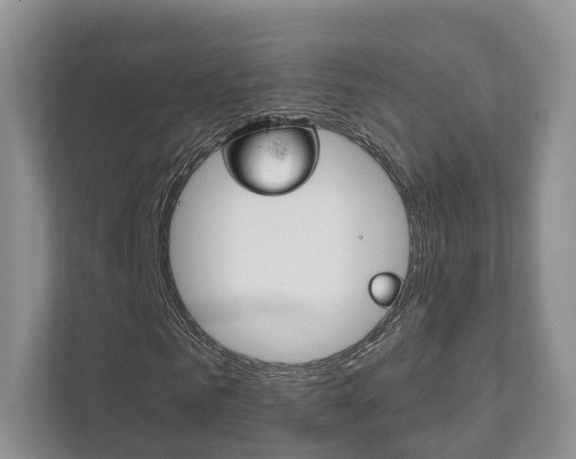 X0000111880961200907231424