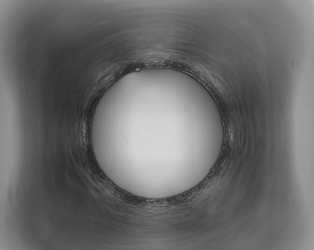X0000111880964200907231424