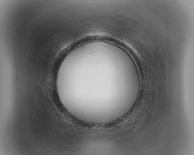 X0000111880967200907231423
