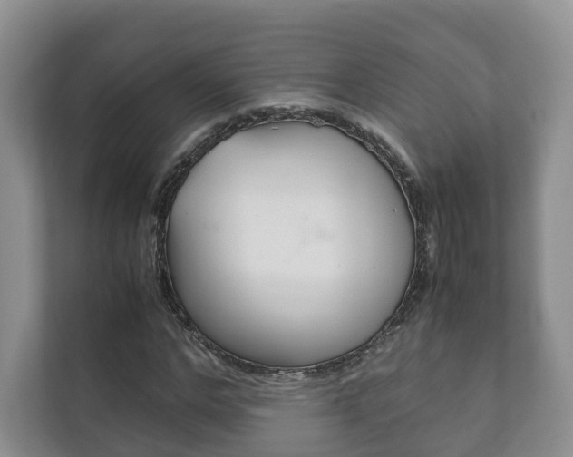 X0000111880968200907231423