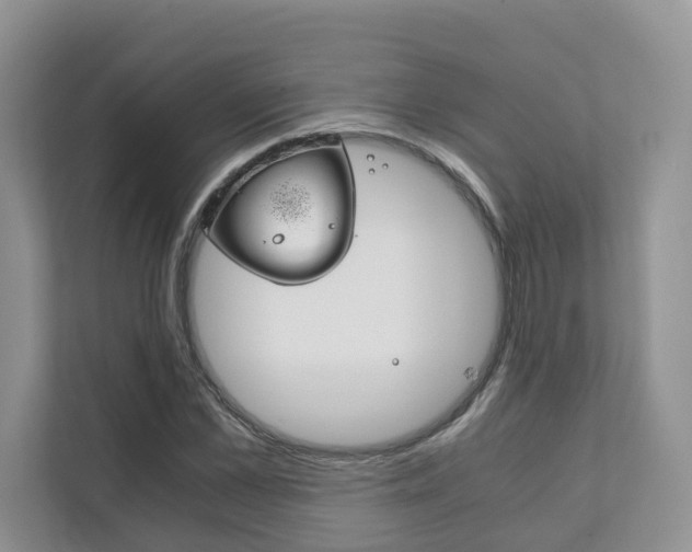 X0000111880973200907231423