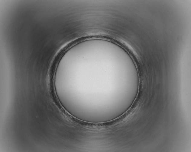 X0000111880975200907231423
