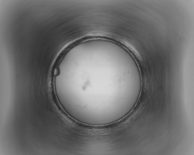 X0000111880976200907231423