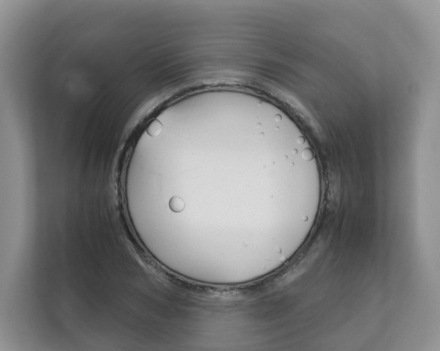 X0000111880978200907231423