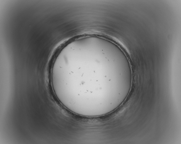 X0000111880979200907231423