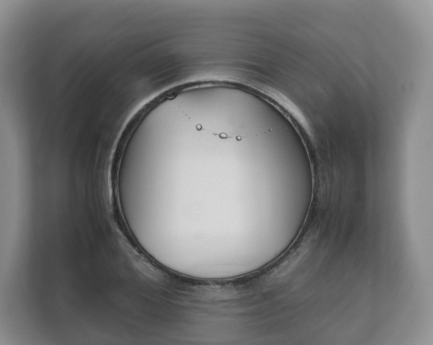 X0000111880980200907231423