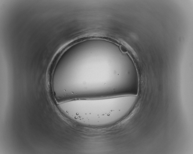 X0000111880981200907231423