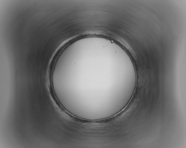 X0000111880984200907231423