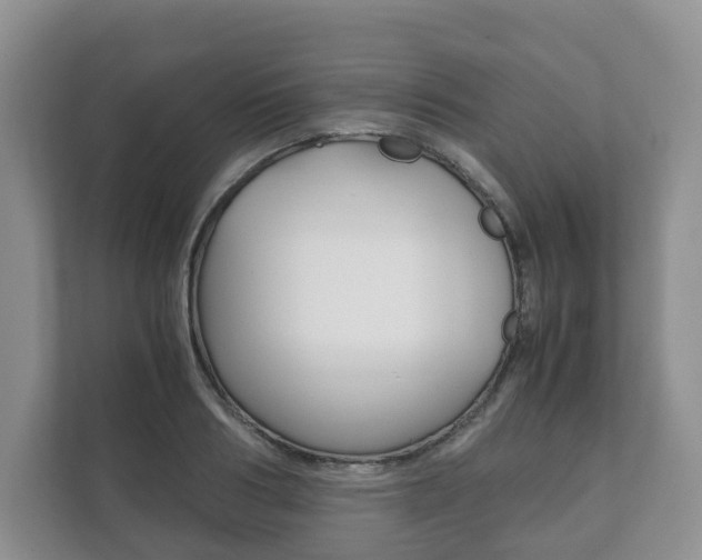 X0000111880986200907231423