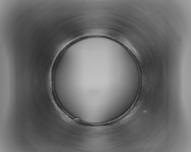 X0000111880988200907231423