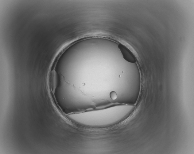 X0000111880989200907231423