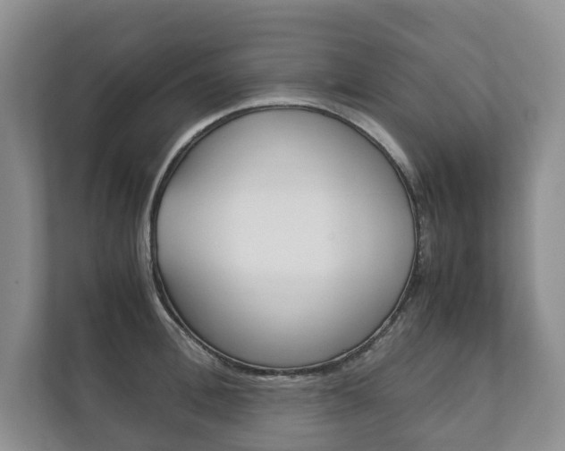 X0000111880996200907231423