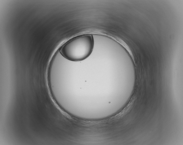 X0000111880997200907231423
