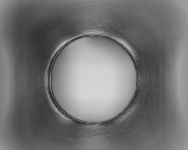 X0000111880999200907231423