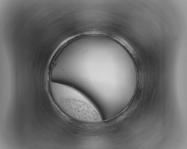 X0000111881000200907231423