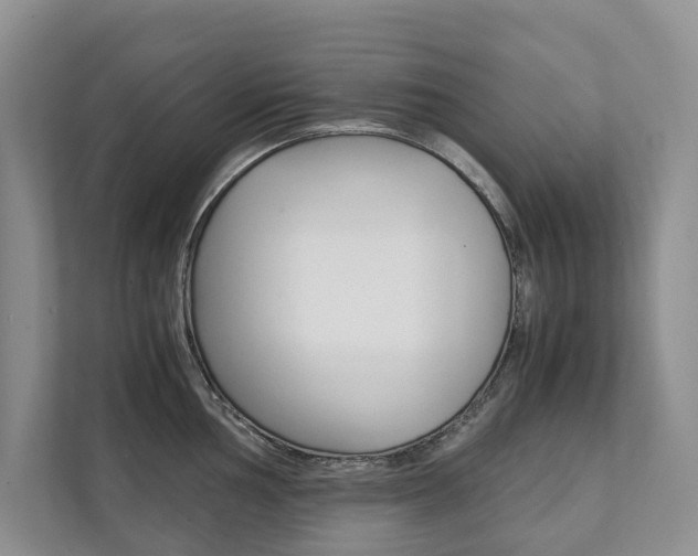 X0000111881002200907231423