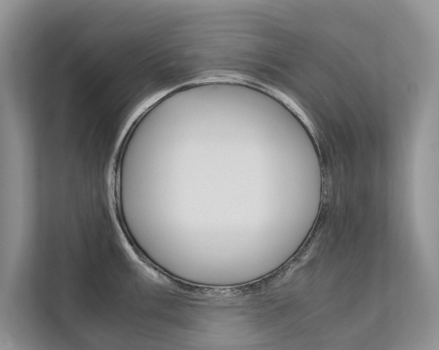 X0000111881003200907231423