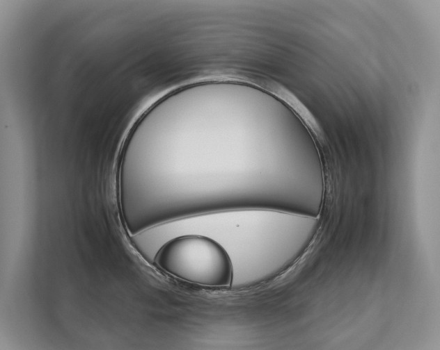 X0000111881004200907231423