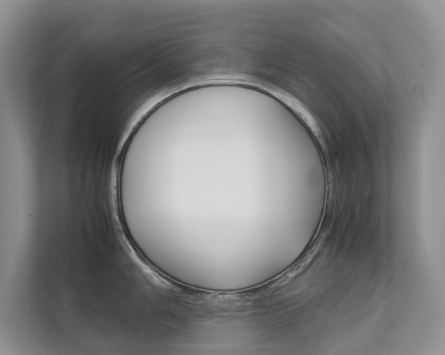 X0000111881006200907231423