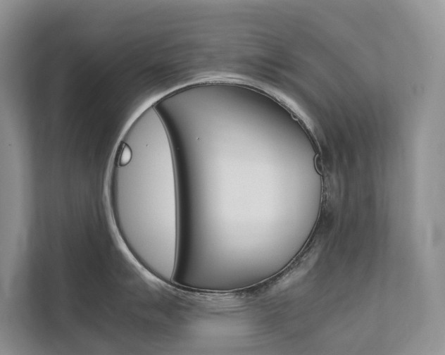 X0000111881007200907231423