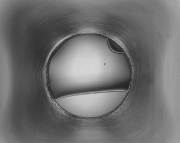 X0000111881008200907231423