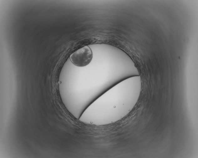 X0000111881009200907231422