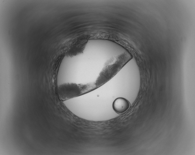 X0000111881013200907231422