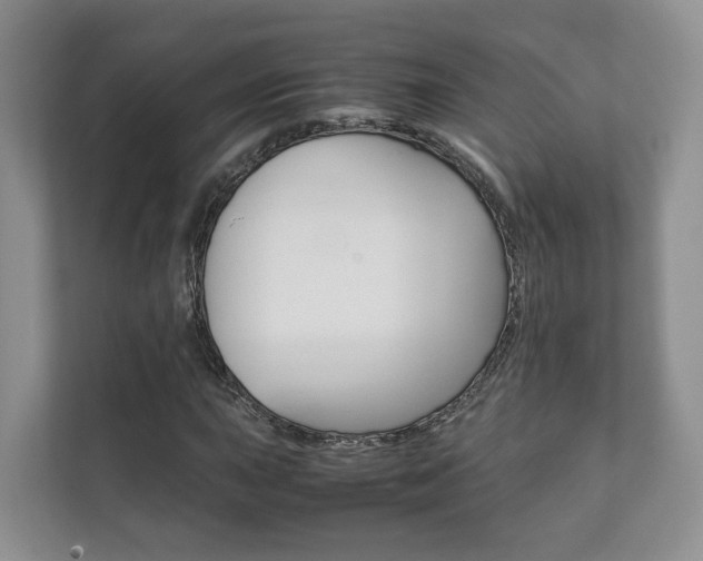 X0000111881015200907231422