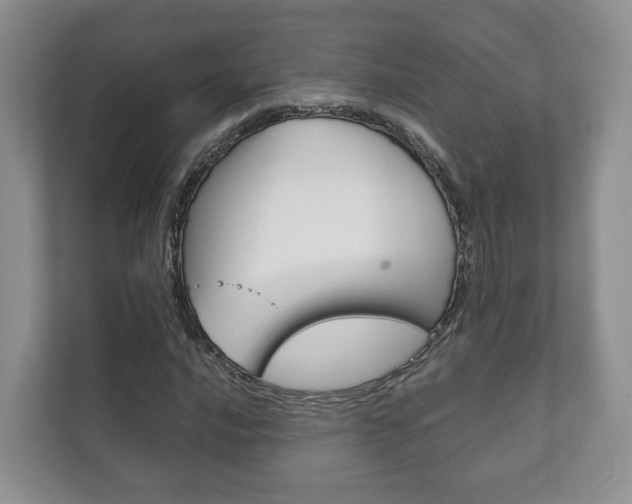 X0000111881016200907231422