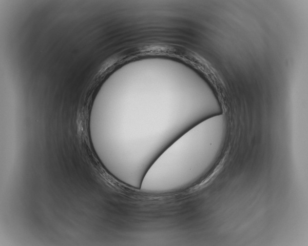 X0000111881017200907231422