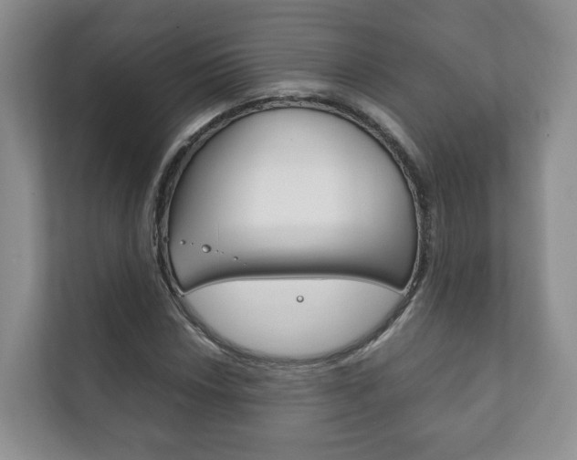 X0000111881018200907231422