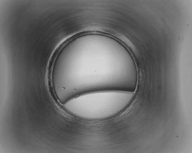 X0000111881020200907231422