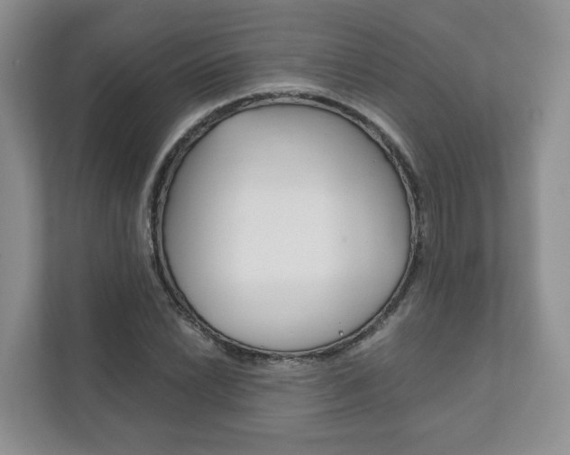 X0000111881022200907231422