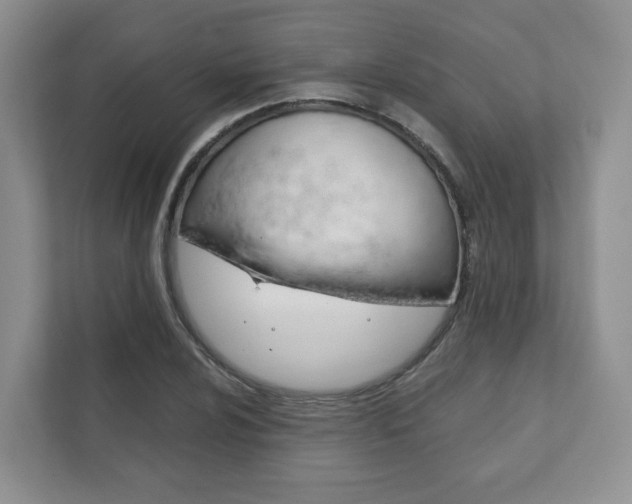 X0000111881024200907231423