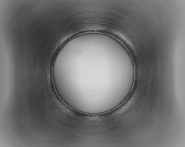 X0000111881025200907231423