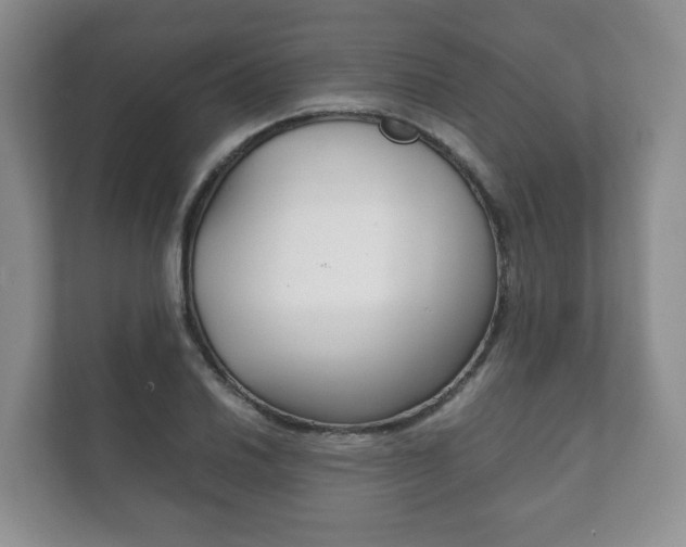 X0000111881030200907231423