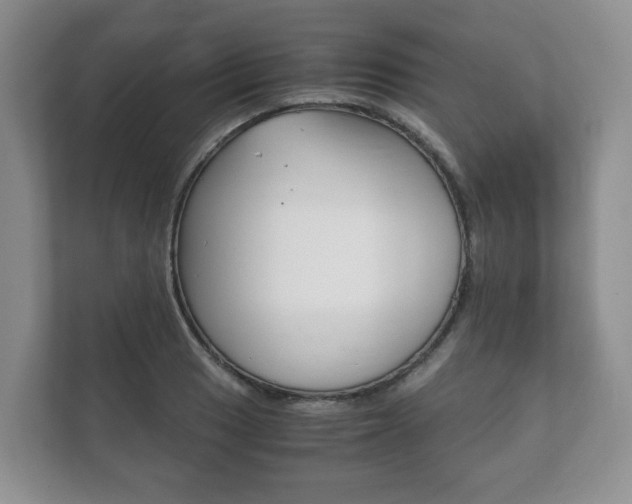 X0000111881033200907231423