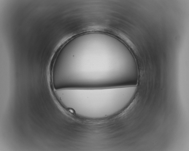 X0000111881034200907231423