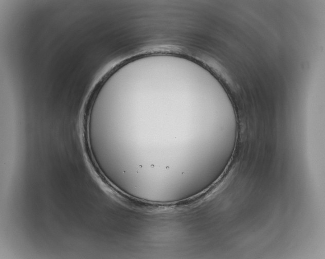 X0000111881038200907231423