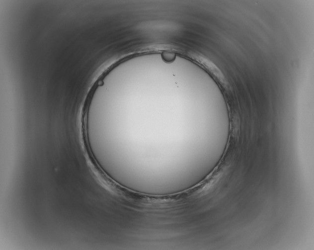 X0000111881039200907231423