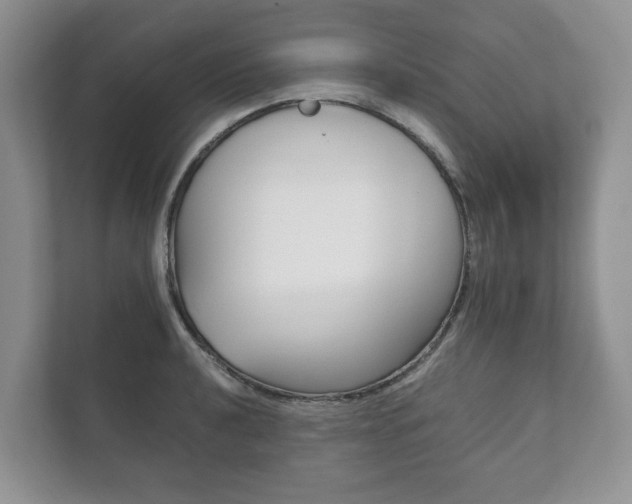 X0000111881040200907231423
