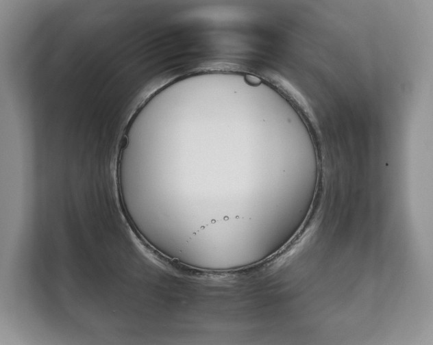X0000111881041200907231423